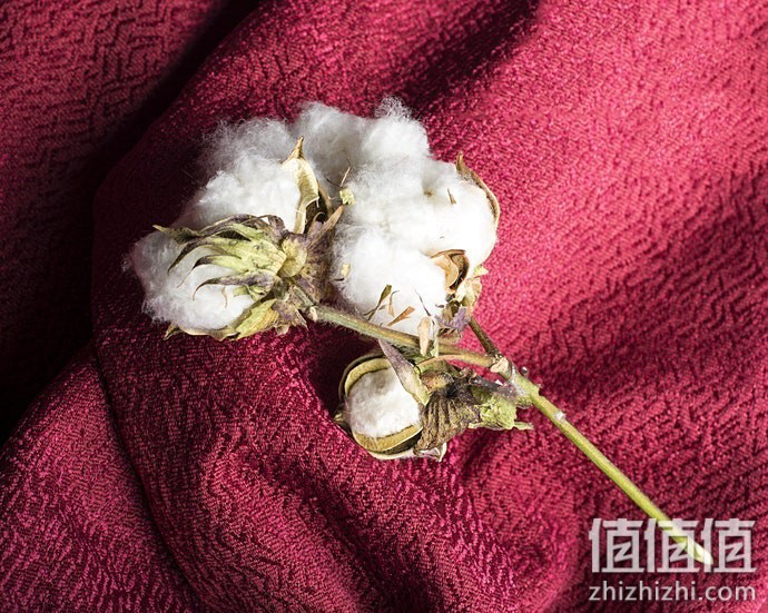 怎么选择婴儿毯？婴幼儿盖毯选购指南