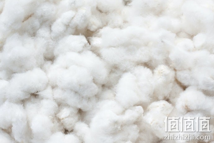 如何选择婴儿枕？婴儿枕选购指南