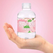 亲亲元气 苏打水260ml*6瓶