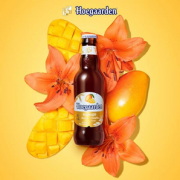 Hoegaarden 福佳 阳光芒啤酒果味精酿 248ml*6瓶