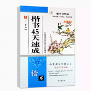 京东极速版：小脚鸭 楷书45天速成