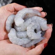 PLUS会员：南极鲜码头 国产大号青虾仁 250g*3袋