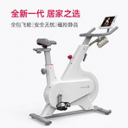 YESOUL 野小兽 M1 YS-001 家用智能动感单车