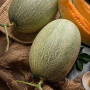 白菜价！单果1.25kg以上 京觅 西州蜜瓜哈密瓜 2粒装