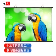 迦观 100英寸 16:9 白塑挂壁投影幕布