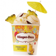 限地区！Häagen·Dazs 哈根达斯 凤梨椰香冰淇淋 100ml