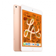Apple 苹果 iPad mini 5 2019款 7.9英寸 平板电脑 64GB WLAN 金色   2438元 包邮（需用券）