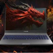 11日10点：MECHREVO 机械革命 蛟龙5 AMD 15.6英寸游戏笔记本电脑（ R7-4800H、16GB、512GB SSD、RTX3060 144Hz )