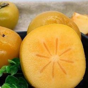 PLUS会员：什谷丰 脆柿子 5斤