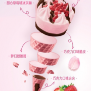 雀巢 缤纷口味 花心筒 冰淇淋 67g*24支