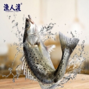PLUS会员：渔人渡 深海特产白蕉海鲈鱼 去鳞600-700g*3件