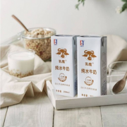 南国乳业 纯水牛奶 200ml*20盒