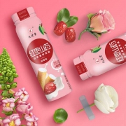 九芝堂 红枣山药原浆 乳酸菌饮品 240ml*6瓶