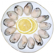 PLUS会员：XIANBOHUI 鲜博汇 牡蛎肉海蛎子 500g 30-40个/袋*2件