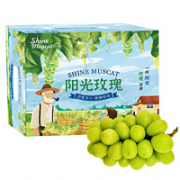阳光玫瑰葡萄香印青提一级果 3斤礼盒装 单果约10g