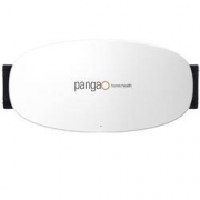 pangao 攀高 PG-2643 腰部按摩仪 皓月白