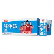 Bright 光明 纯牛奶 250mL*24盒*2件