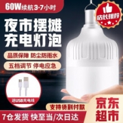 智汇 地摊灯露营灯  均码
