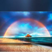 TCL 65V8-PRO 65英寸 液晶电视