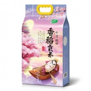 PLUS会员：十月稻田 香稻贡米 5kg*5件