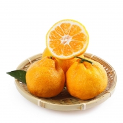 栗品优 四川不知火丑橘 10斤