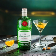 Tanqueray 添加利 金酒 750ml
