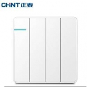 CHNT 正泰 面板四开双控