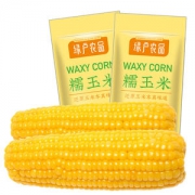 绿户农品 东北糯玉米200g*10根