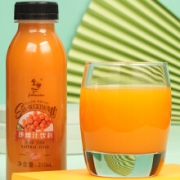 PLUS会员：jinhuiren 金慧仁 沙棘汁 310ml*8瓶