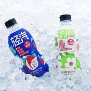 轻气 苏打气泡水 500ml*6瓶 0蔗糖0脂0能量