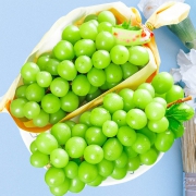 PLUS会员：朝道臻品 阳光玫瑰葡萄 重约3斤