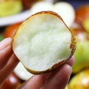 现摘现发 陕西大荔冬枣整箱5斤
