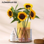 PLUS会员：FlowerPlus 花加  优选向日葵 5枝