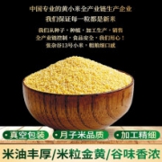 PLUS会员：巡天上谷 张杂谷13号黄小米 400g*6件