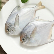 美加佳 黄海鲳鱼 1kg