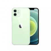 Apple 苹果 iPhone 12 5G智能手机 256GB