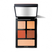 Bobbi Brown Exclusive Place in the Sun 5色眼影盘