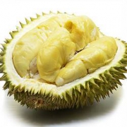 PLUS会员：DUAR 独爱 金枕头榴莲A级果 3-4斤