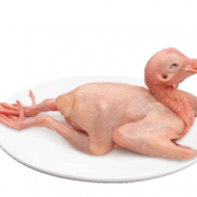 五谷芳旗下！圳芳品 新鲜乳鸽 200g