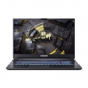 拼多多百亿补贴：Hasee 神舟 战神 G8-CA7NP 17.3英寸游戏笔记本电脑（i7-10870H、16GB、512GB SSD、RTX 3060)