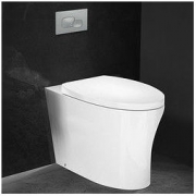 新品发售：KOHLER 科勒 K-20798T-SL-0 壁挂式马桶