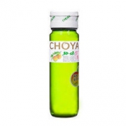 CHOYA 俏雅 梅酒 青梅果味酒 750ml