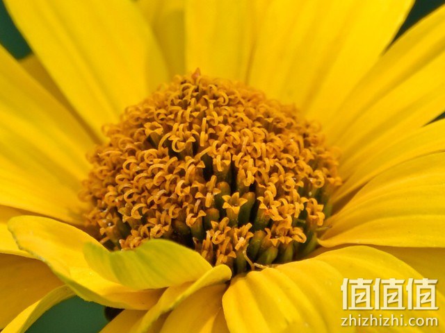 尼康Z fc复古微单相机评测