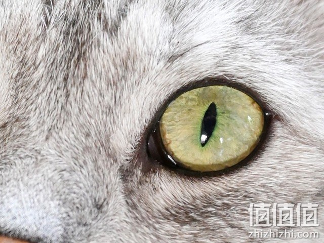 尼康Z fc复古微单相机评测