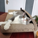 兴达万宠 沙发猫抓板 猫床猫抓垫大号背靠式幼猫成猫瓦楞纸磨爪器磨爪板耐磨耐抓猫窝猫玩具猫咪用品 升级款大号靠背沙发猫抓板