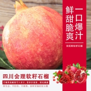 鲜果欢  尼斯软籽石榴 净重5斤