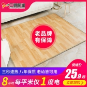 三顺暖润 碳晶地暖垫 进口发热膜 50*35cm小号 适合暖脚