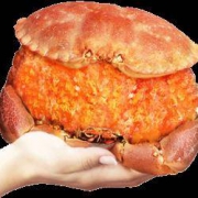 PLUS会员：首鲜道 熟冻面包蟹 2只 1.6kg-2kg*2件