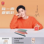 Zwilling 双立人 一人一筷家用彩色筷子 6双