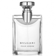 9日0点！BVLGARI 宝格丽 大吉岭茶男士淡香水 100ml